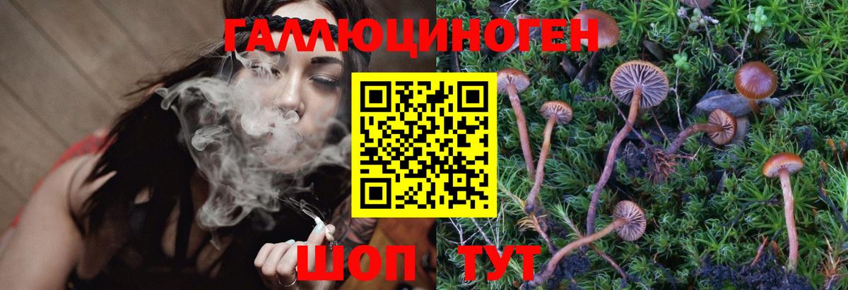 Наро-Фоминск  Галлюциногенные грибы Psilocybe  Вход с VPN  Псилоцибиновые грибы MAGIC MUSHROOMS 